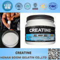 Optimum Nutrition polvo blanco creatina malla 80 y 200